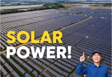 영농형 태양광이란? 농업과 발전을 결합한 미래 에너지 시스템 완벽 가이드